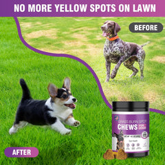 Grass Burn Spot Chews for Dogs Dog Pee Grass Neutralizer 200 Green Grass Dog Chews Urine Lawn Spot Protector Urinary Tract Support Dog Bladder Support Cranberry, Apple Cider Vinegar, DL-Methionine